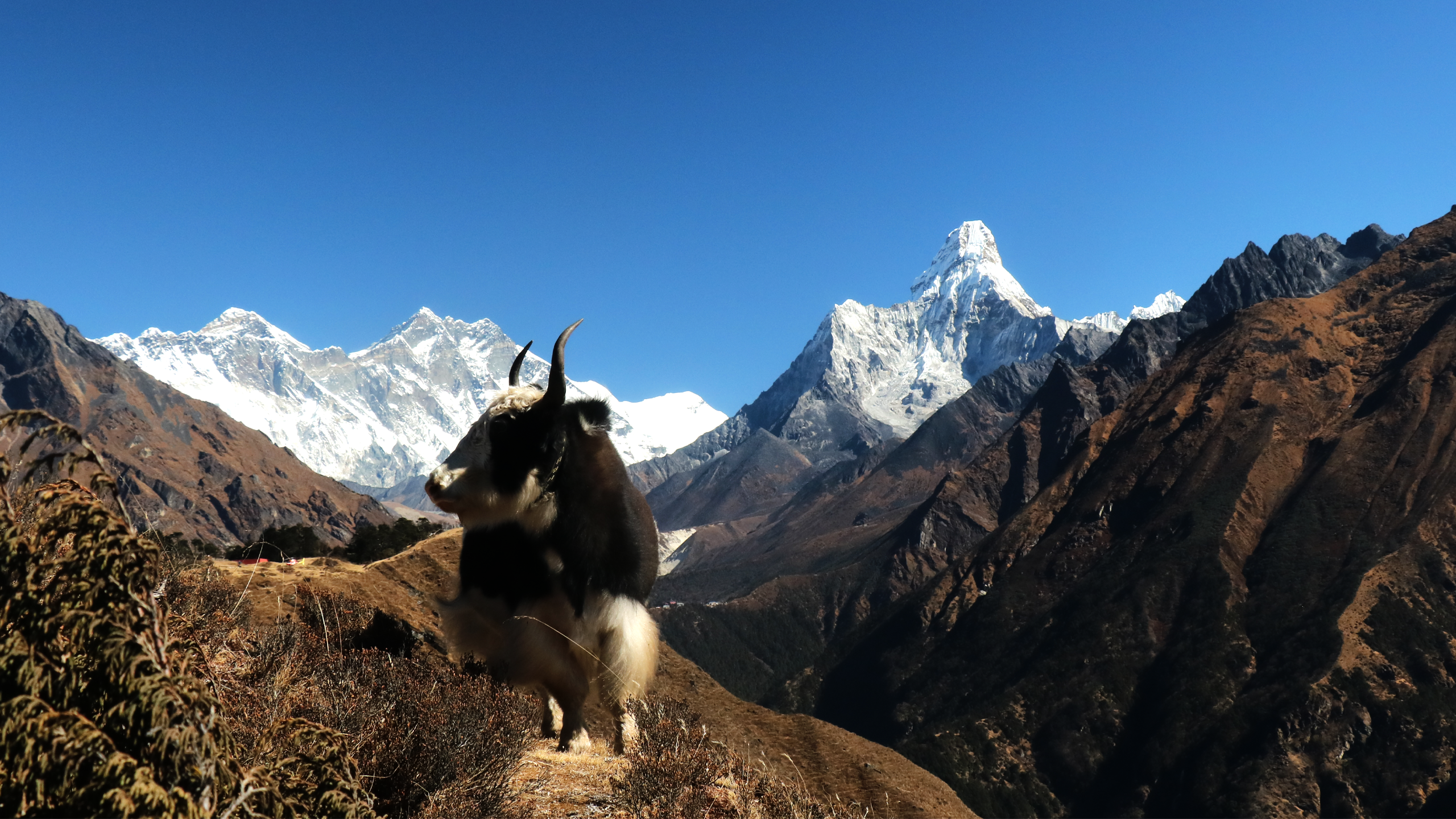 Everest View Trekking