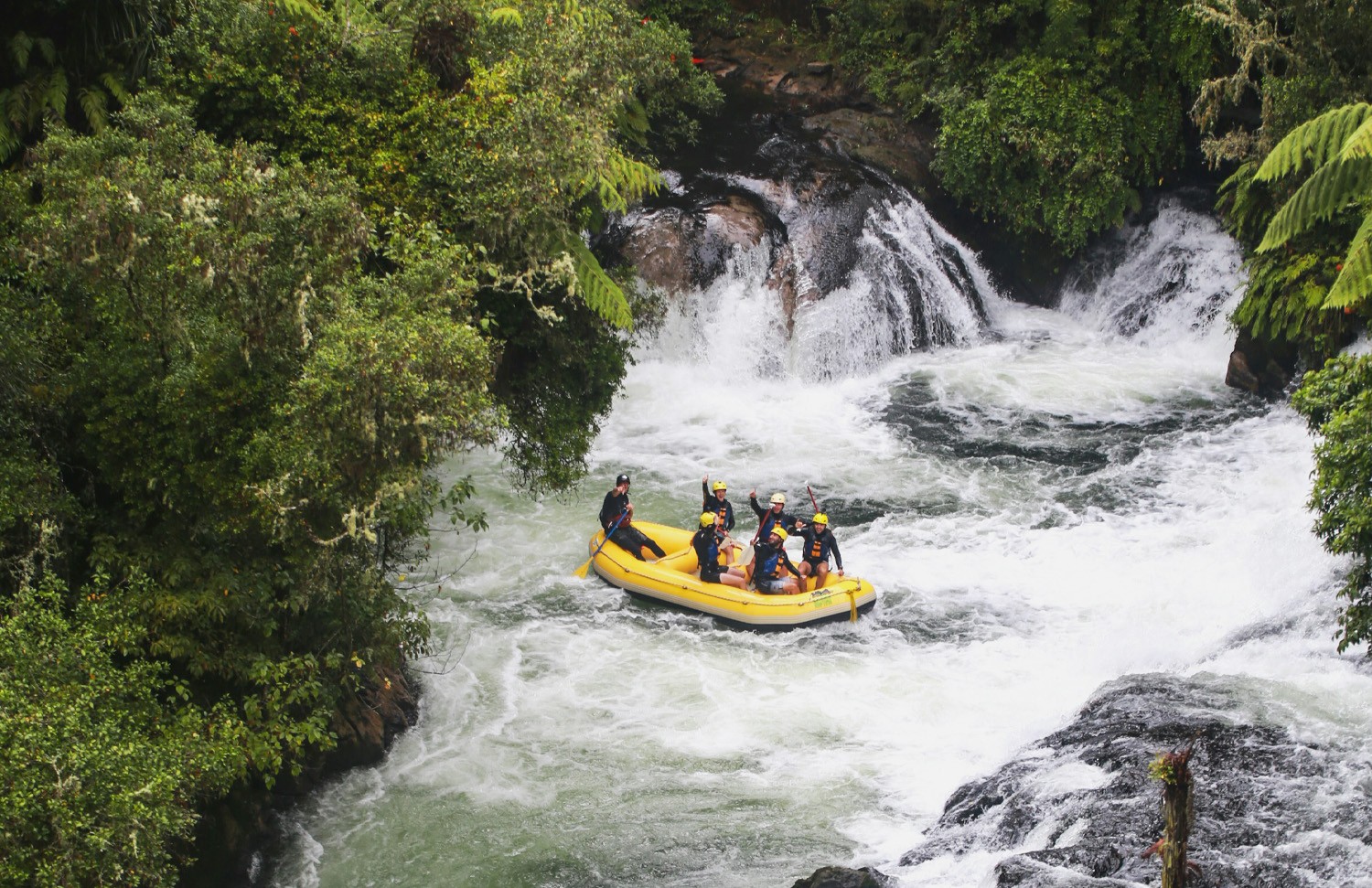 Rafting in himalaya